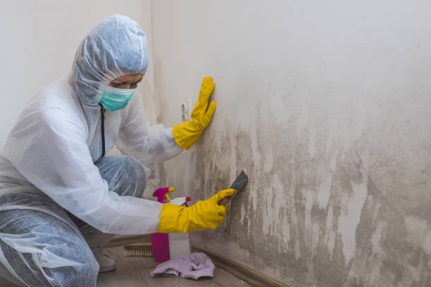 Best Mold Testing  in Woodland, CA