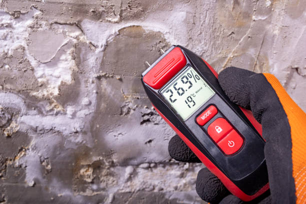 Best Commercial Mold Removal  in Woodland, CA